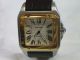 Cartier Santos 100 2-Tone Leather Band Model (1)_th.jpg